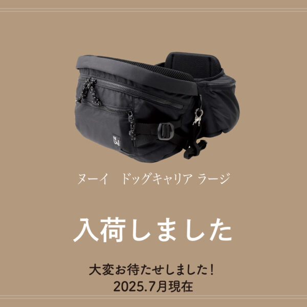 入荷しました。