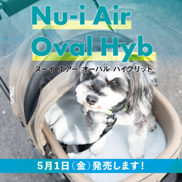 2026年5月発売、新型モデル登場！