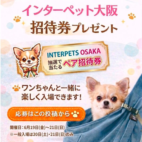 インスタから招待券プレゼント